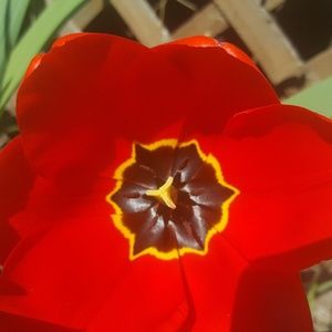 Meet your Posher, Jerry